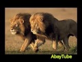 ያ ሆ Yaa Hoo