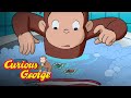 Curious George Floods the Building | Video Timestamps & Chapters