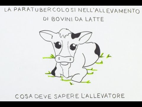 , title : 'La Paratubercolosi Nell'allevamento Di Bovini Da Latte: Cosa Deve Sapere L'allevatore'