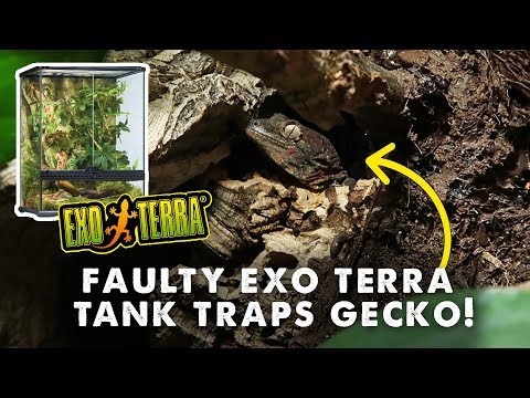 Exo Terra Hagen ŽALOS AUGALŲ ABULITON L video