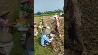 Download lagu STORY WA POLOSAN, SEGAR SUASANA DI SAWAH #2 #story #pemandangan #sawah mp3 Download lagu STORY WA POLOSAN, SEGAR SUASANA DI SAWAH #2 #story #pemandangan #sawah mp3