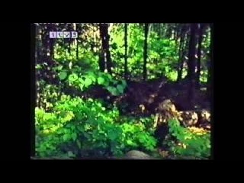 Eagle Come Home 1976 ITV Survival Documentary - The Best Documentary Ever