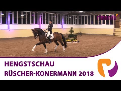 Hengstschau Rüscher-Konermann 2018 mit u.a. Baccardi, For Final & Diamond Deluxe