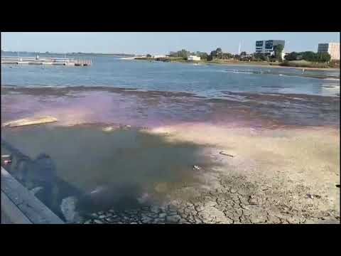 Fenomen spectaculos la Techirghiol. Lacul a devenit roz