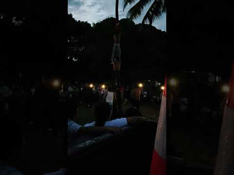 palo lucio Altagracia isla de ometepe