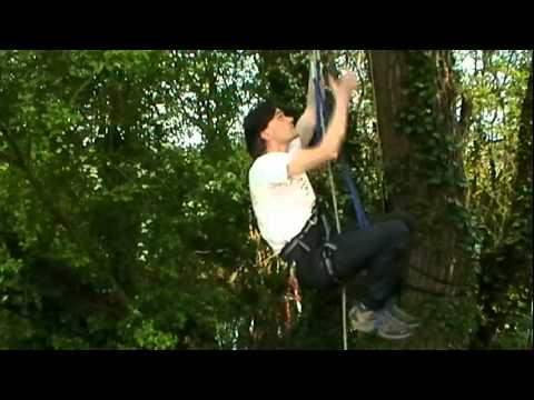 Introducing the M-System.mpeg