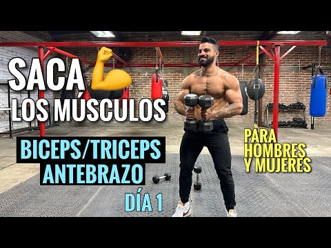 Arm Workout: Train your Biceps, Triceps, and Forearms (25 Min) Exercises to BUILD YOUR MUSCLES