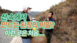 유기농 된장 산속에서 만드는 된장의 비밀