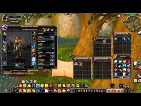 5.2 Ret Paladin PvP World Of Warcraft
