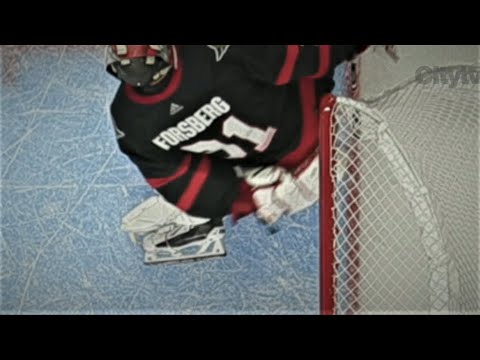 Goal Or No Goal here Between The Panthers And Senators