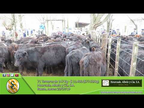 25-07-19 - Venta de Machos - Hourcade, Albelo y Cía  S.A. - Rauch