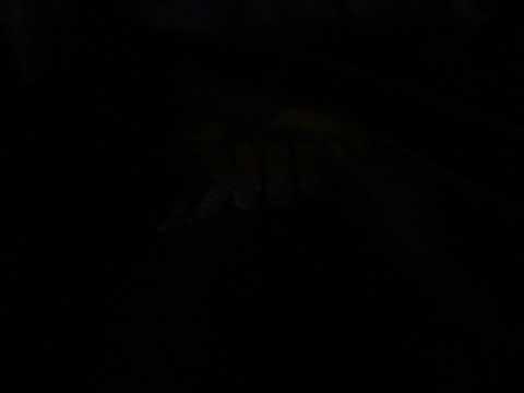 Vuk Mob ft. Mili-12 sati lyrics