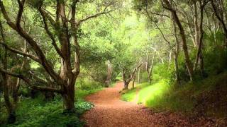 James Vincent McMorrow - From the Woods (8 Track Demo) [HD]