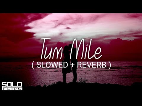 Tum Mile ( SLOWED + REVERB ) || Javed Ali || SOLO Flips