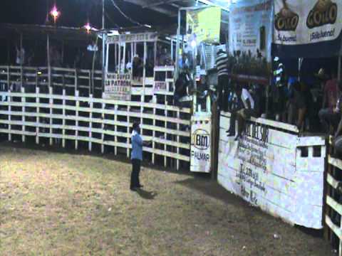 OSA TV Fiestas Ojo de Agua 2013 "Resumen"