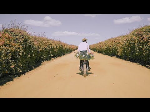 Flowers video