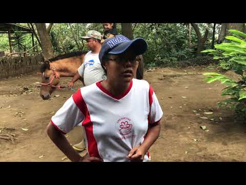 Guillermina describes Chispa de Vida's equine-assisted physical therapy program!