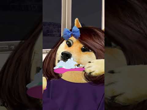 No solo los perros lamen 🐶😱