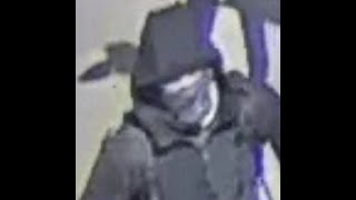 Scott Ratigan Case Surveillance Footage (Correct Order) Slow Motion/Details/Enhanced Frames