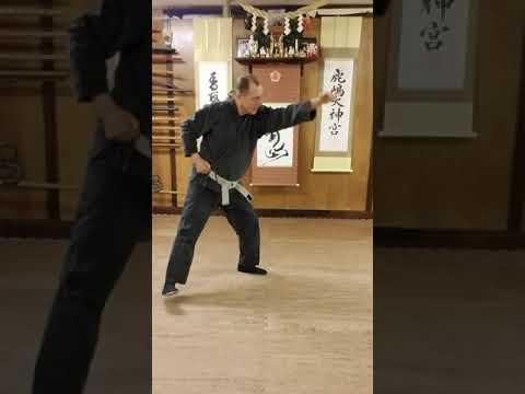 AZBujinkan - 07 - Goshin Ura Waza