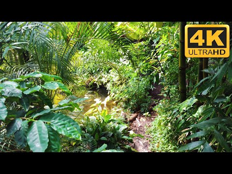 Hortus Botanicus - Amsterdam, Netherlands