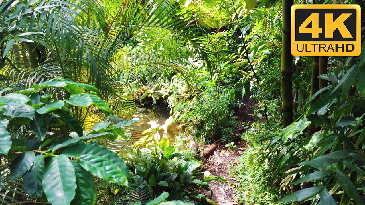 Experience the mesmerizing highlights of Hortus Botanicus.