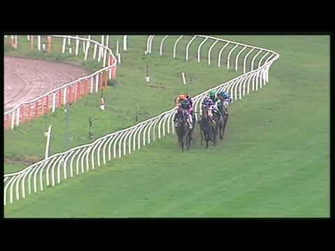 Galoppo 16/11/2020 - 4ª corsa