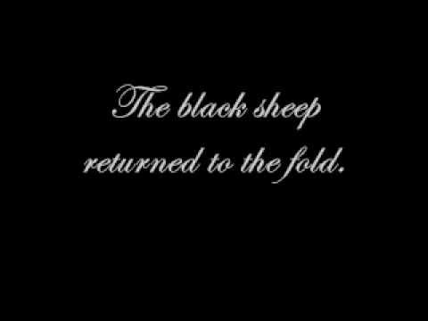 The Black Sheep Returned To The Fold