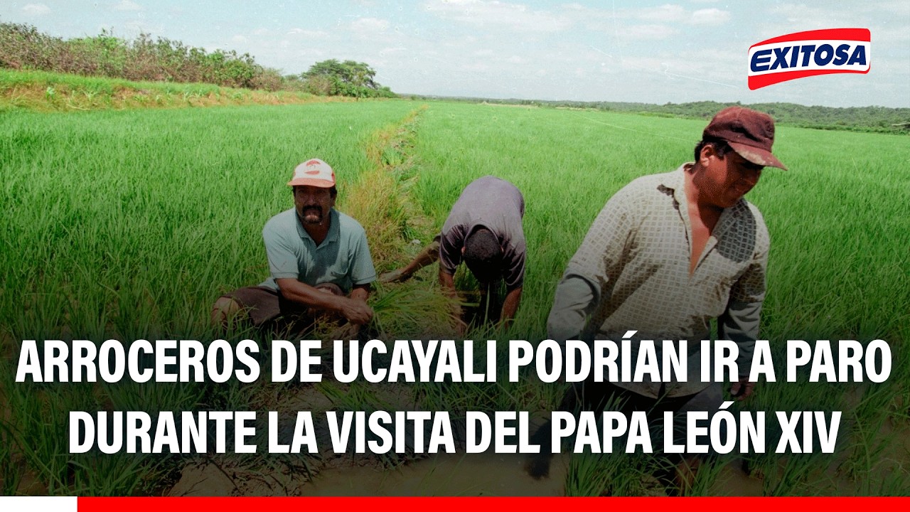 🔴🔵 Productores de arroz denuncian crisis en el sector y exigen atención del Gobierno