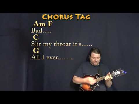 Otherside (RHCP) Mandolin Cover Lesson in Am with Chords/Lyrics