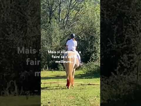 Gado le grand exemple pour Nala