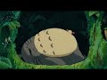color filter - let me sleep (slowed)