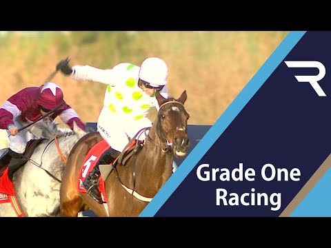2019 Matheson Hurdle - Racing TV
