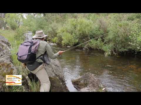 Ever wanted to see a professional Fly Fisherman work a stream...