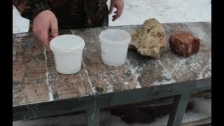 Можно ли давать курам несушкам яичную скорлупу
