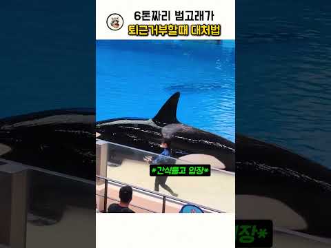 😭😭소리를 확인하지 마세욧!😭😭