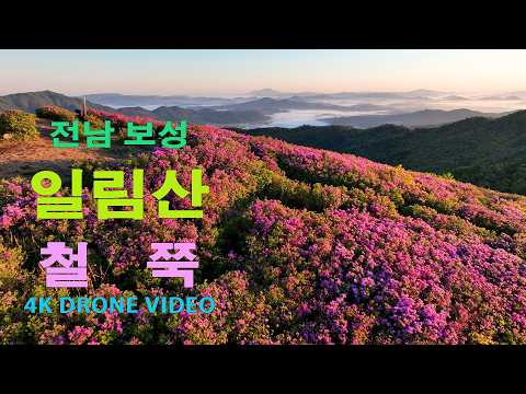 전  남    보   성     일    림     산