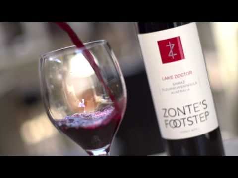 Wine tasting tips and notes - Zonte's Footstep Shiraz