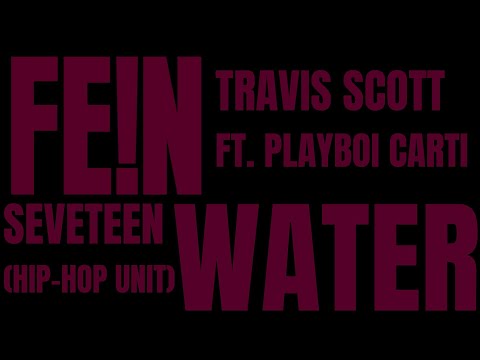 i stand on FEIN (FE!N - Travis Scott ft. Playboi Carti x Water - SEVENTEEN)