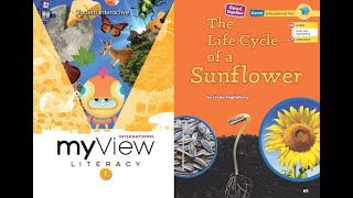 Download lagu The Life Cycle of a Sunflower - myView 1st Grade, Unit 2, Week 2 - Read Along mp3