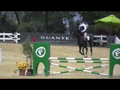 Fantastic Light 1,10m U C  11-08-2017