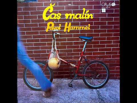 Pavol Hammel - ZRPŠ (1981)