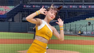 【畇二 儀諪 盈瑩 汶汶】先發打序曲#PassionSisters#台湾チアリーディングチーム チーム#中華職棒#CPBL#洲際#20241001