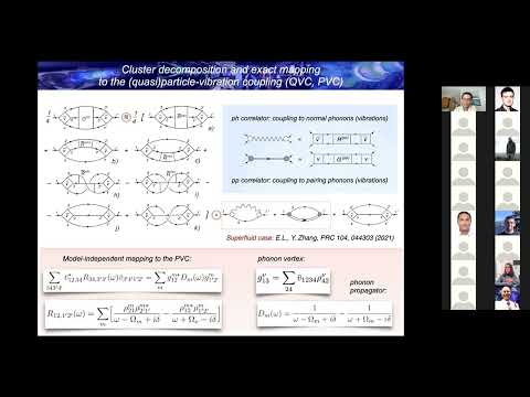 Emergence in atomic nuclei and the quest for spectroscopic accuracy - Elena Litvinova