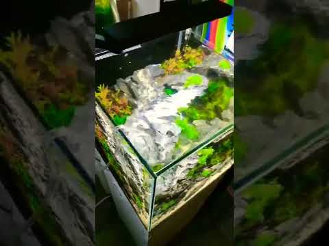Rescaping a 30cm cube for a customer, what you think? Can't wait to see the plants grow in..