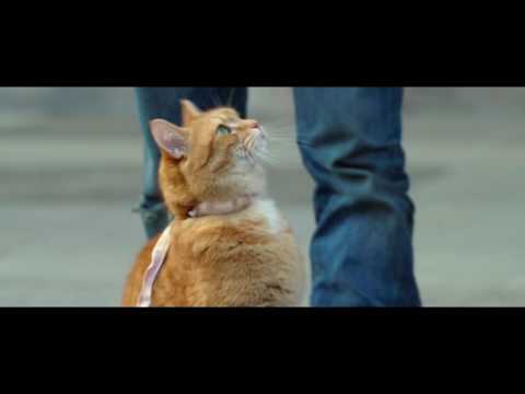A Street Cat Named Bob (Clip 'Getting the Punters')