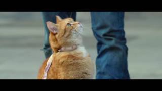 A Street Cat Named Bob - Getting the Punters In Clip - At Cinemas Now