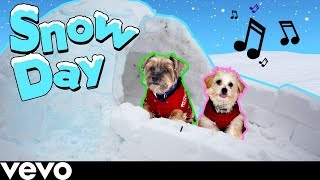 SNOW DAY (Official Puppy Music Video)