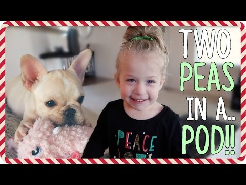 TWO PEAS IN A POD!! | Vlogmas Day 3 Video