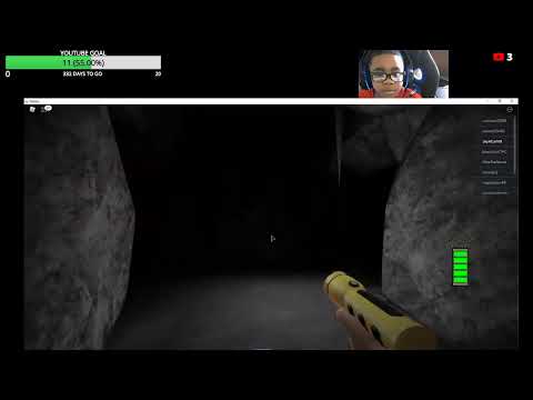 new years livestream